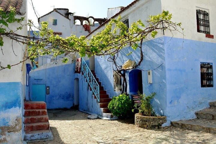 Day Trip from Fez to Chefchaouen: Explore Morocco’s Blue City & Rif Mountains photo 4