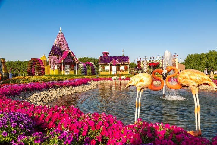 Dubai Miracle Garden: Touring 45 Million Flowers in Al Barsha photo 4