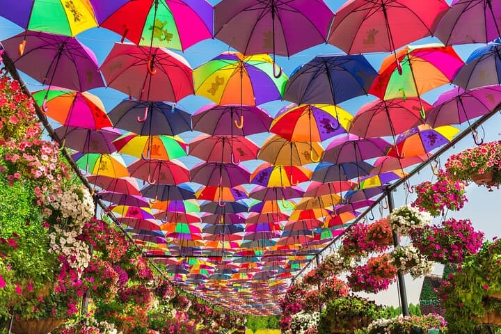 Dubai Miracle Garden: Touring 45 Million Flowers in Al Barsha photo 5