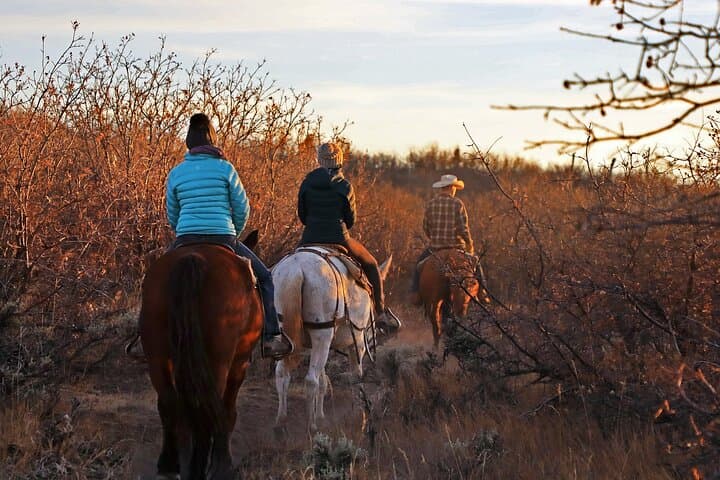 Sunset Horseback Ride in East Zion: Exploring Checkerboard Mesa on Horseback photo 3