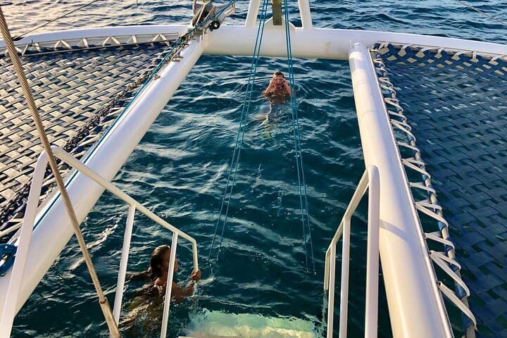Moana’s Waikīkī Turtle Snorkel: Luxury Catamaran Cruise to Turtle Canyon photo 5