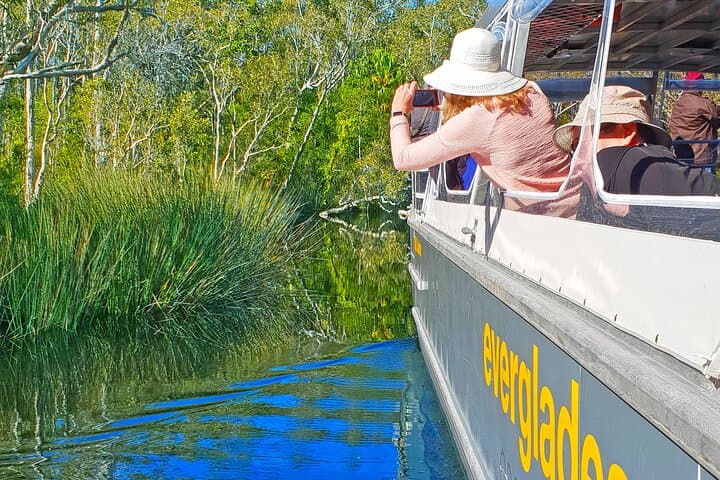Noosa Everglades Serenity Cruise and Hastings Street Highlights with Lunch