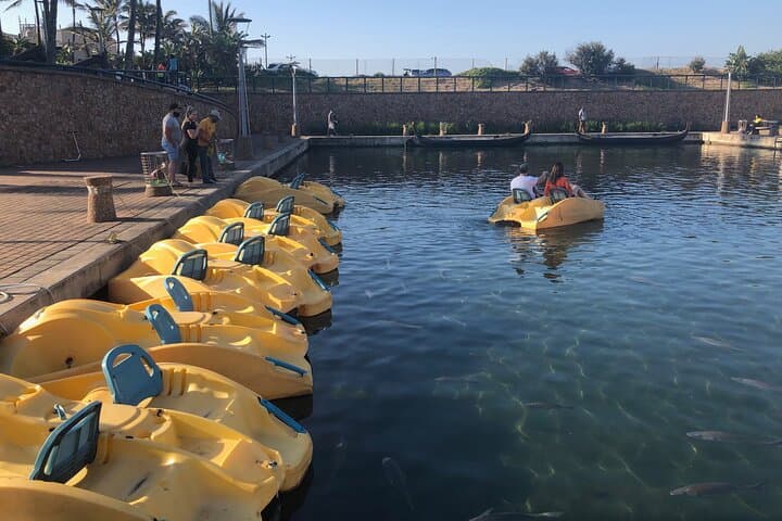 Exploring Durban Point Waterfront: Pedal Boat Canal Rides