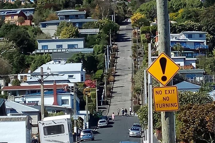 Dunedin City Highlights and Larnach Castle Tour — Otago Peninsula Views photo 5