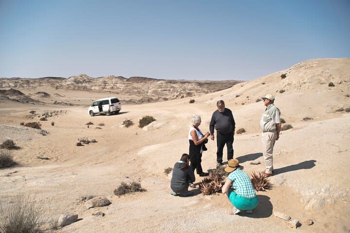 Welwitschia Tour: Explore the Moon Landscape from Swakopmund photo 3