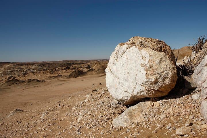 Welwitschia Tour: Explore the Moon Landscape from Swakopmund photo 4