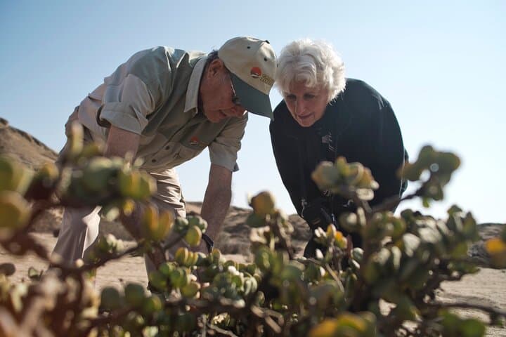 Welwitschia Tour: Explore the Moon Landscape from Swakopmund photo 6