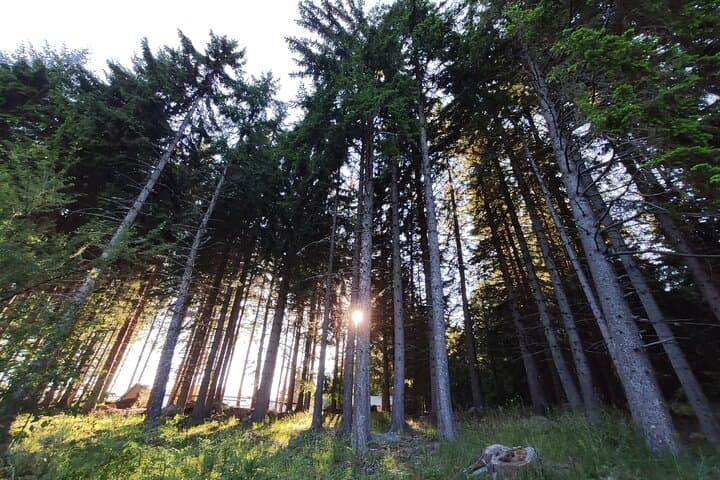 3-Day Private Mountain Biking Tour from Sofia: Vitosha, Studena Dam & Rural Villages photo 3