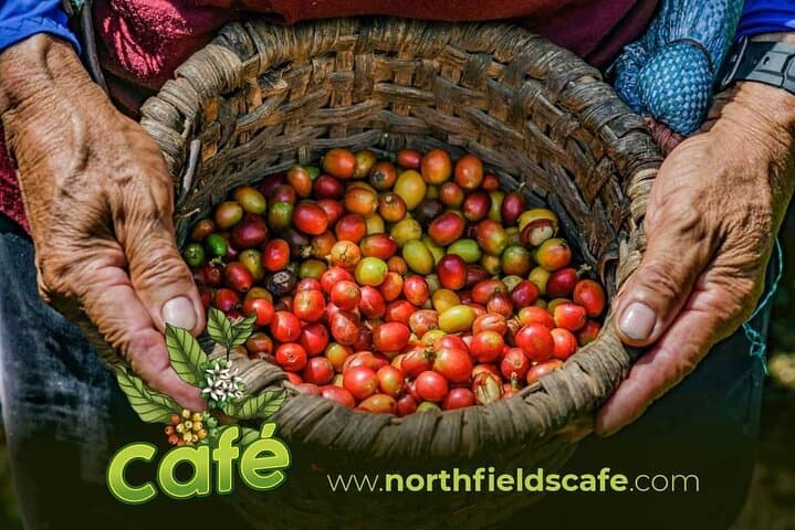 Hands-On Coffee & Chocolate Crafting Near Arenal Volcano photo 4