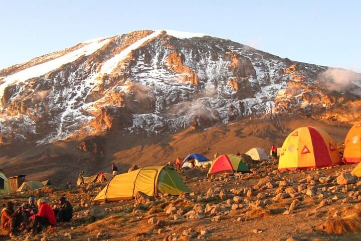 7-Day Lemosho Route Kilimanjaro Trek: Moshi to Uhuru Peak