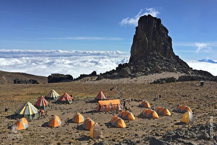 7-Day Lemosho Route Kilimanjaro Trek: Moshi to Uhuru Peak photo 2