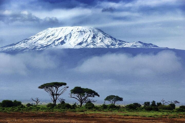 7-Day Lemosho Route Kilimanjaro Trek: Moshi to Uhuru Peak photo 6