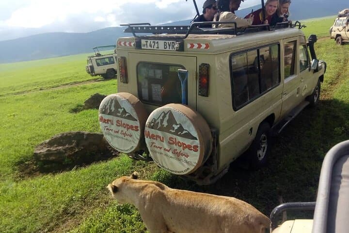 3-Day Serengeti and Ngorongoro Crater Camping Safari: Wildebeest Migration & Crater Wildlife