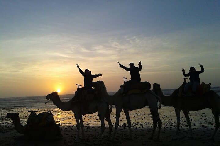3-Hour Camel Ride on Essaouira Beach: Dunes, Ocean and Local Life photo 3