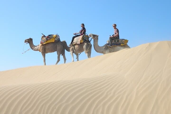 3-Hour Camel Ride on Essaouira Beach: Dunes, Ocean and Local Life photo 5