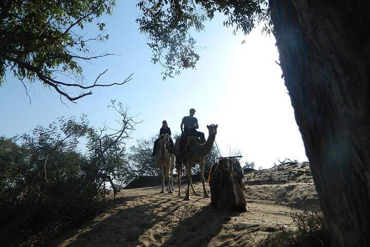 3-Hour Camel Ride on Essaouira Beach: Dunes, Ocean and Local Life photo 6