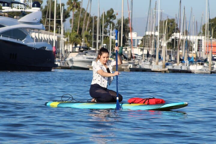 Marina del Rey Sea Lion Kayak & SUP Tour — 2-Hour Guided Paddle photo 3