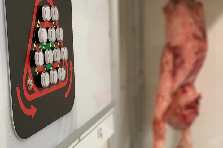 Inside Dr. Field's Mad Lab: Miami Escape Room Challenge photo 2