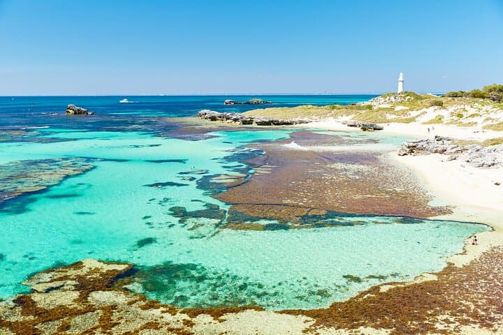 Rottnest Island Ferry & Bike Combo: Day Trip from Perth to Wadjemup photo 5