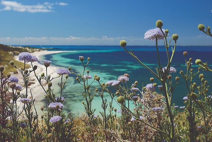 Rottnest Island Full-Day Guided Tour from Perth — Quokkas, Lighthouses & WWII Tunnels photo 5
