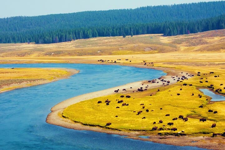 3-Day Yellowstone & Grand Teton Small-Group Tour from Salt Lake City photo 5