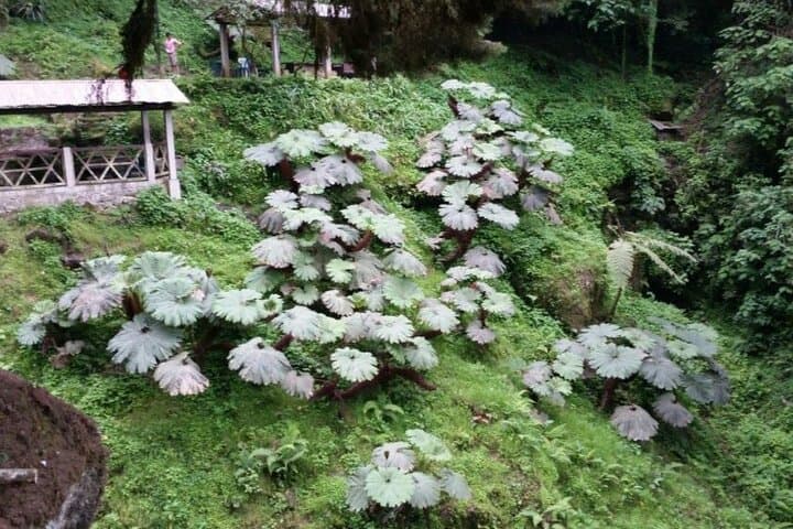 Quetzaltenango and Fuentes Georginas Hot Springs Day Trip from Panajachel photo 2