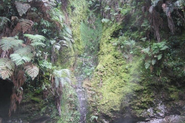 Quetzaltenango and Fuentes Georginas Hot Springs Day Trip from Panajachel photo 4