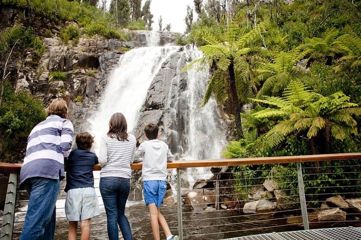 Day Trip from Melbourne to Lake Mountain: Snow Play, Steavenson Falls & Yarra Valley Chocolates photo 2