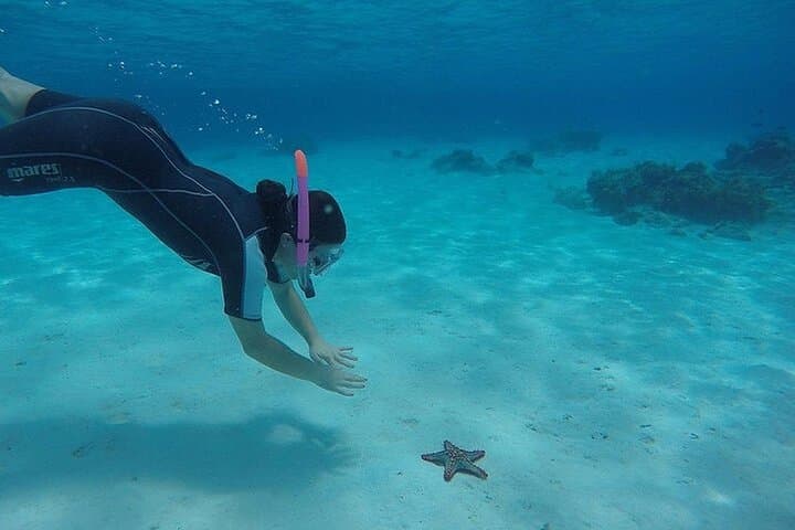 Dhow Cruise to Mnemba Island: Full-Day Snorkeling & Dolphin Watching from Nungwi photo 5