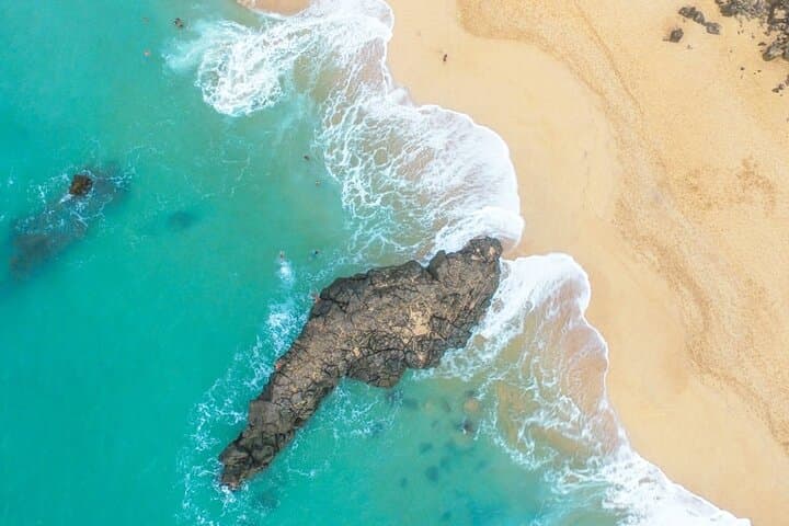 North Shore Oahu Private Full-Day Tour: Surf Beaches, Sea Turtles & Coastal Views photo 4