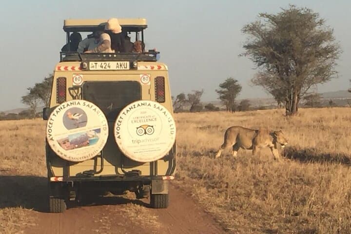 6-Day Camping Safari: Tarangire, Serengeti, Ngorongoro & Lake Manyara photo 3