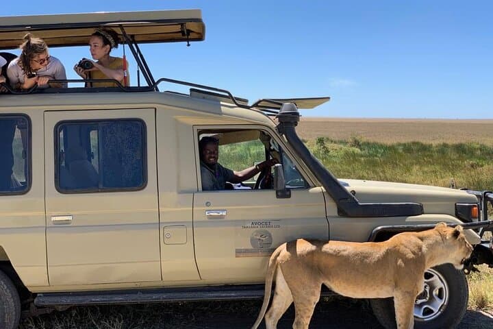 6-Day Camping Safari: Tarangire, Serengeti, Ngorongoro & Lake Manyara photo 4