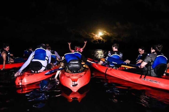 Kayak the Bio Bay in Fajardo: Guided Night Tour to Laguna Grande photo 5