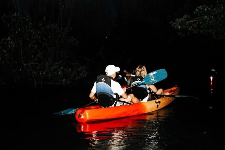 Kayak the Bio Bay in Fajardo: Guided Night Tour to Laguna Grande photo 6