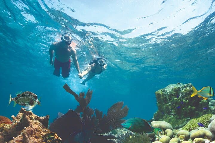 Key West Double-Dip Snorkel: Two Reef Stops on a Fast Catamaran photo 3