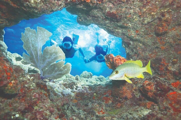 Key West Double-Dip Snorkel: Two Reef Stops on a Fast Catamaran photo 6