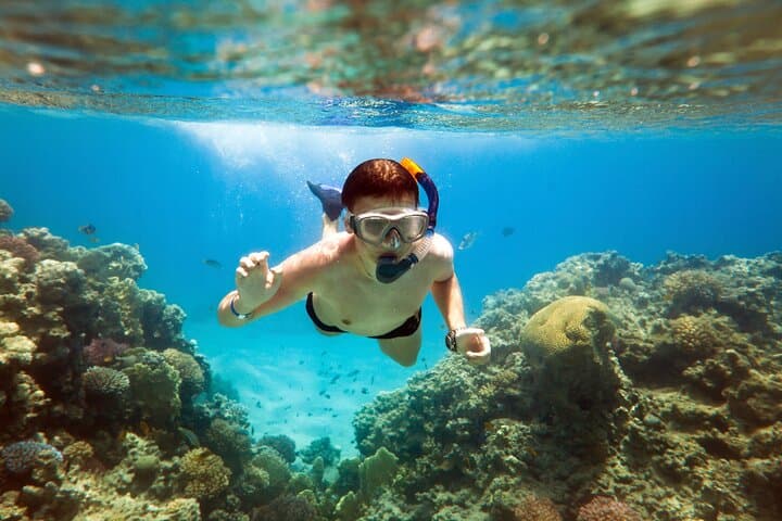 Snorkel La Roqueta Island Acapulco: Guided Pacific Marine-Life Cruise photo 2