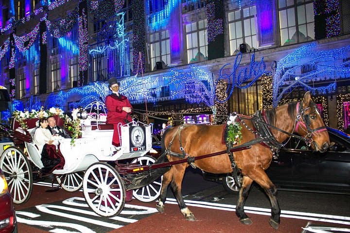 Evening Horse-Drawn Carriage Ride Through Central Park & Fifth Avenue, NYC photo 5