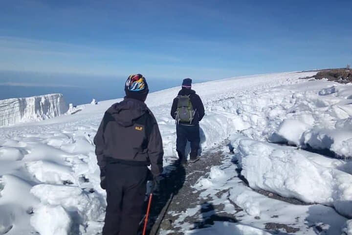Lemosho Route Kilimanjaro: 7-Day Small-Group Climb from Arusha to Uhuru Peak photo 5