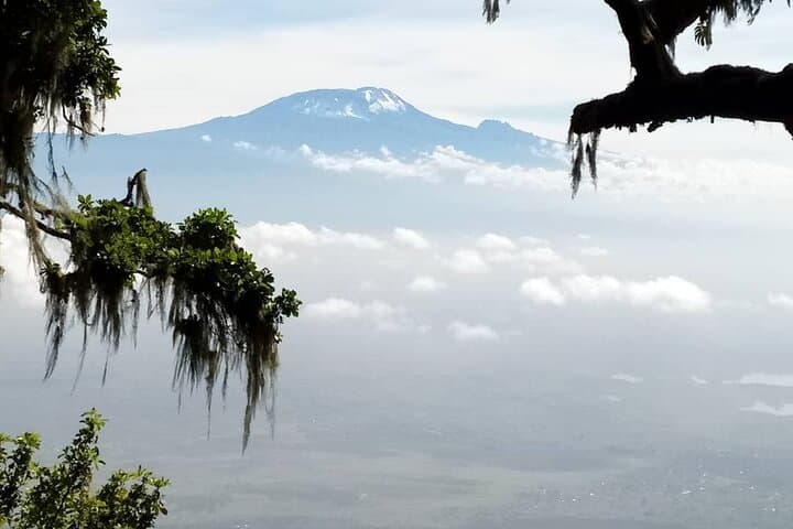 6-Day Private Kilimanjaro Machame Route: Complete Summit Guide photo 5