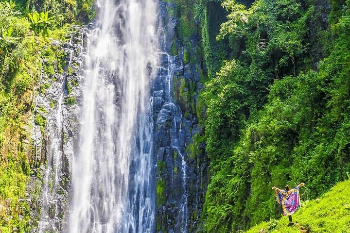 7-Day Northern Tanzania Safari: Tarangire, Serengeti, Ngorongoro & Materuni Waterfalls