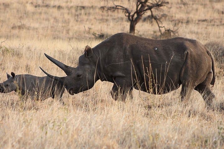 8-Day Serengeti, Ngorongoro & Empakaai Crater Safari — Lake Natron & Maasai Cultural Trek photo 5