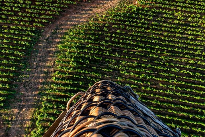 Burgundy Hot-Air Balloon Ride from Beaune: Sunrise Flight Over Vineyards photo 2