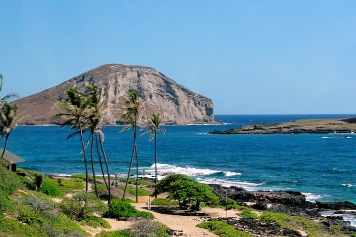Explore Oahu’s South Shore: A Private Full-Day Tour of Coastal Wonders and Lava Fields photo 5
