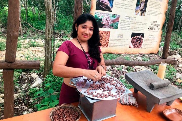 Tulum Chocolate and Honey Sanctuary: Cenote Swim & Mayan Bee Workshop