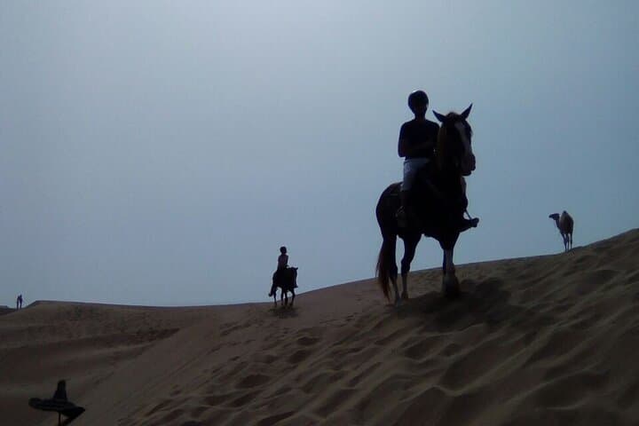 Essaouira One-Day Beach Horseback Ride with Lunch photo 4