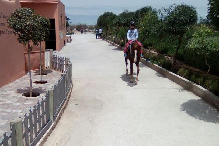 Essaouira One-Day Beach Horseback Ride with Lunch photo 5
