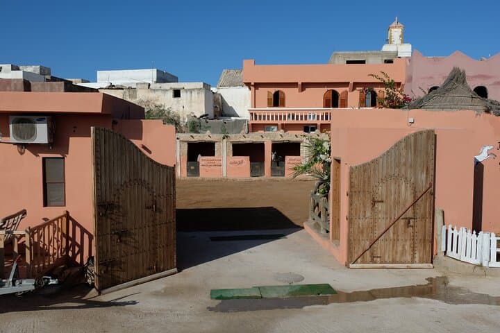 Coastal Canter: 1-Hour Horseback Ride on Essaouira’s Diabat Beach photo 3