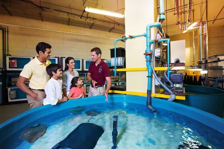 Inside Lost World Aquarium: Behind-the-Scenes Fish Hospital & Ambassador Lagoon Tour, Dubai photo 3