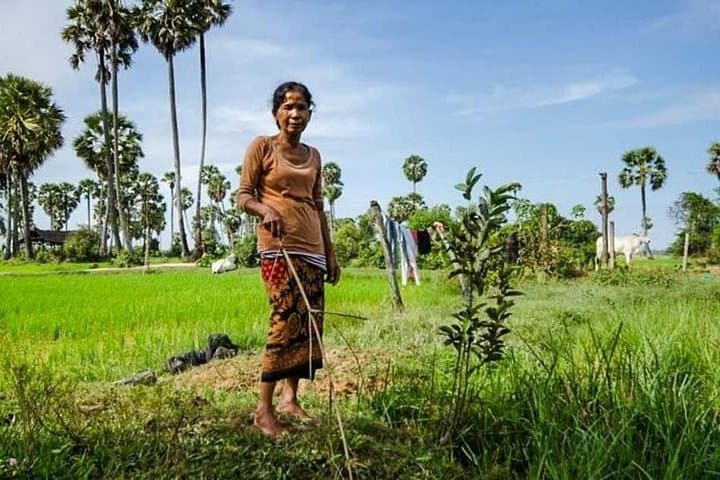 Village Life Tour from Siem Reap: Authentic Cambodian Rural Experience photo 5